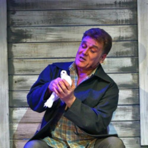 Afisha Club: Любовь и голуби в Барнауле 24 апреля 2026