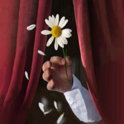 Afisha Club: Беда от нежного сердца в Чебоксары 24 апреля 2026