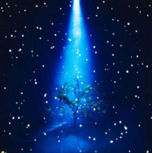 Afisha Club: Любовь и голуби в Хабаровске 10 апреля 2026