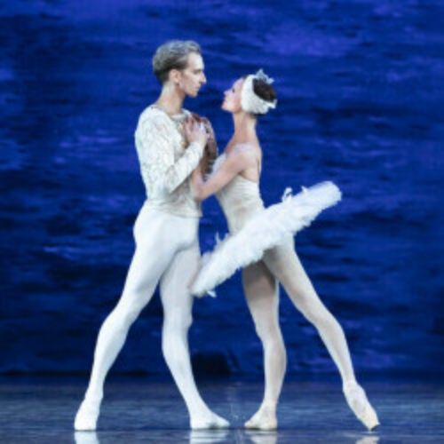 Afisha Club: Лебединое озеро в Краснодаре 8 апреля 2026