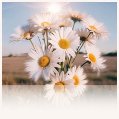 Afisha Club: Счастья тебе, земля моя в Кузбассе 16 апреля 2026