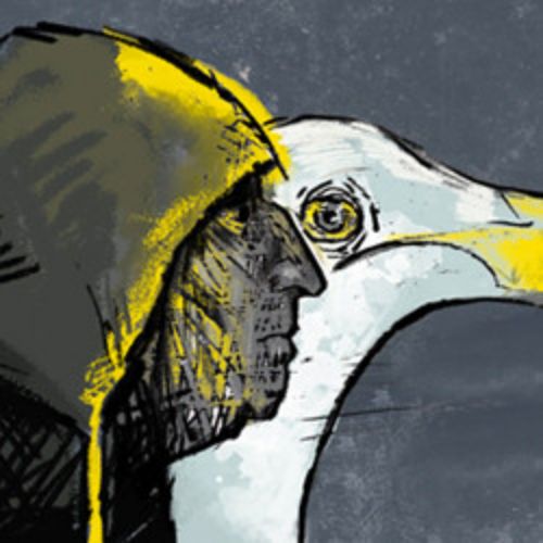 Afisha Club: Чайка по имени... в Москве 17 апреля 2026