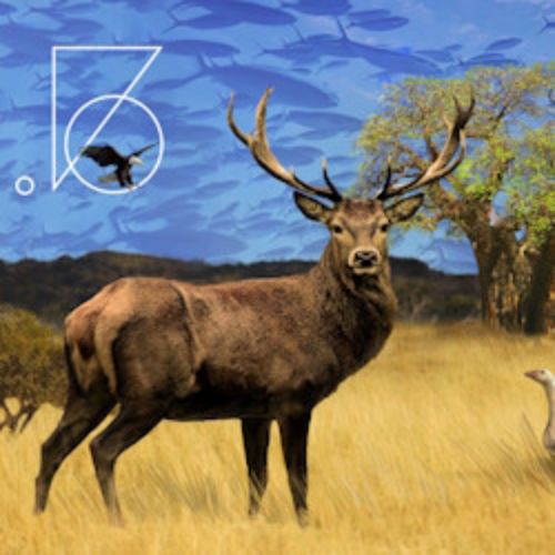 Afisha Club: Чайка с продолжением в Москве 10 апреля 2026