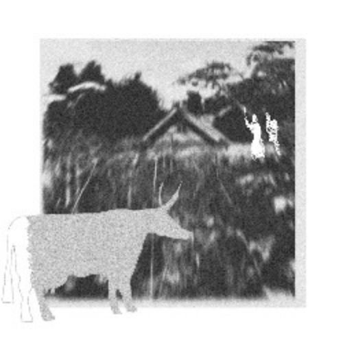 Afisha Club: Корова в Москве 17 апреля 2026