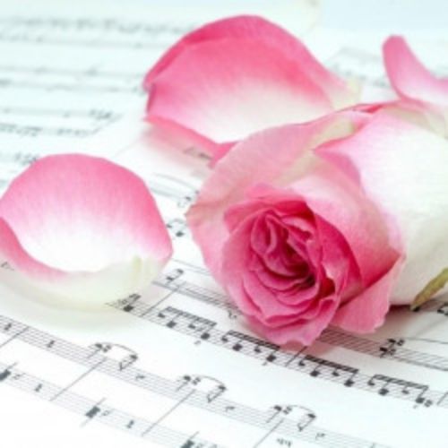 Afisha Club: Фестиваль «Струны Сибири» в Новосибирске 21 апреля 2026