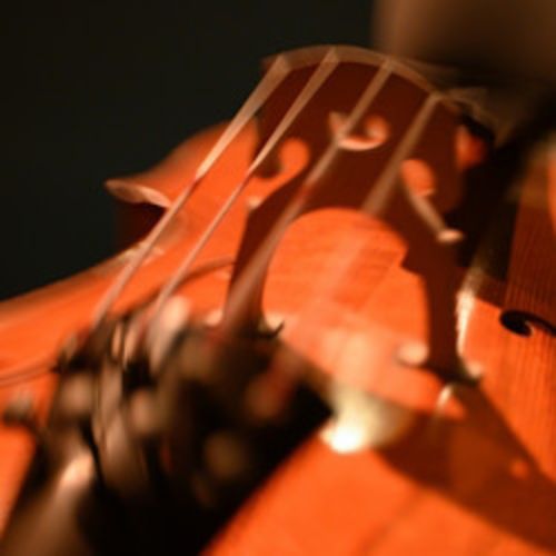 Afisha Club: Элгар / Сибелиус в Перми 29 апреля 2026