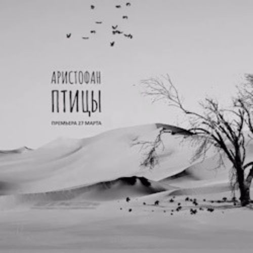 Afisha Club: Птицы в Перми 7 апреля 2026