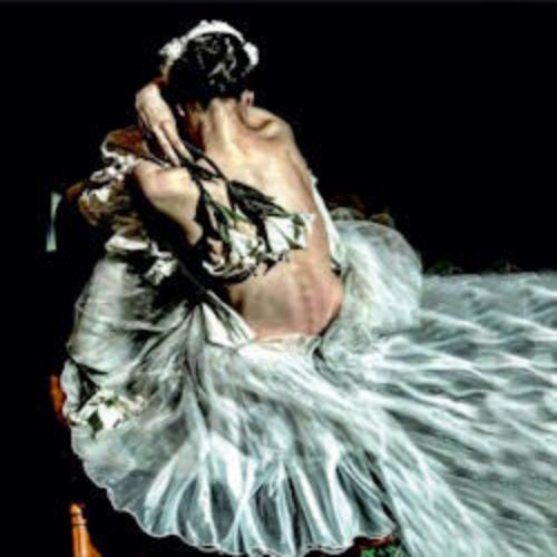 Afisha Club: Лето пируэта. Жизель в Барнауле 14 августа 2026