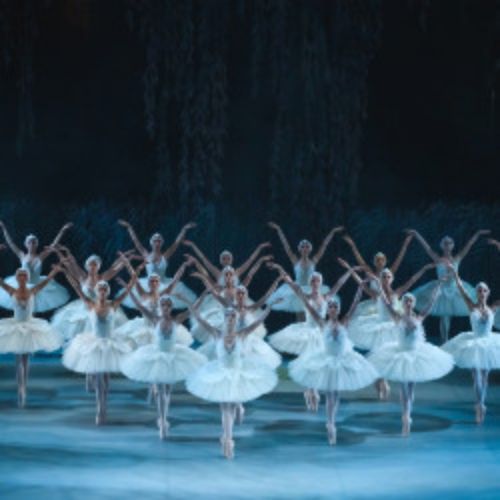 Afisha Club: Лебединое озеро в Сочи 1 августа 2026