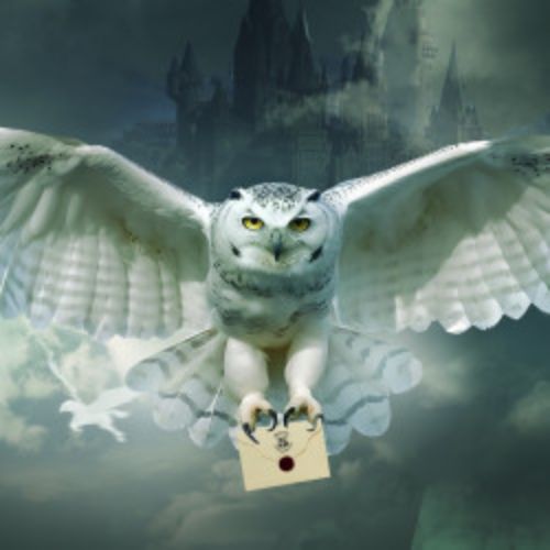 Afisha Club: Гарри Поттер. Оркестр Sonorus в Санкте-Петербург 31 июля 2026