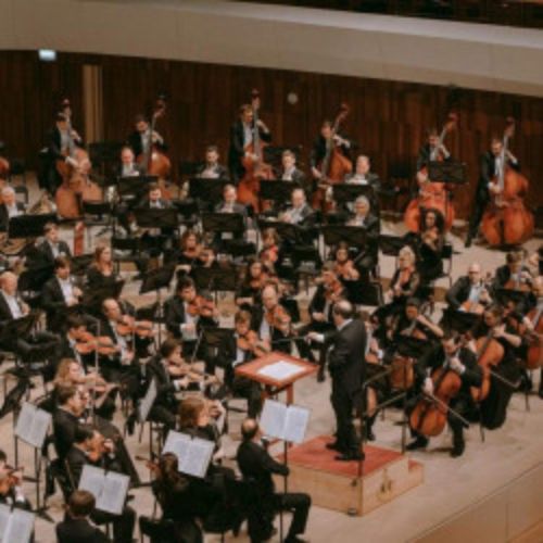 Afisha Club: МГАСО, Тимур Зангиев в Москве 23 июня 2026