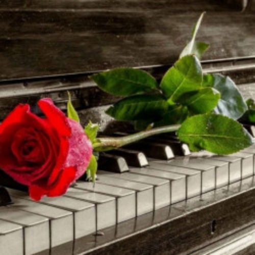 Afisha Club: Оперетта vs мюзикл в Москве 16 июня 2026