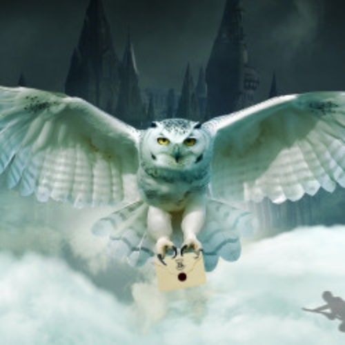 Afisha Club: Гарри Поттер. Оркестр «Sonorus» в Ростове-на-Дону 14 июня 2026