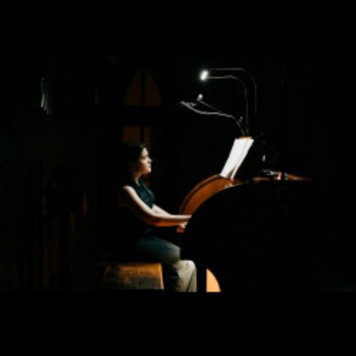 Afisha Club: Бах. Токката и фуга ре минор. Моцарт. Маленькая ночная серенада. Григ. В пещере горного короля в Москве 9 мая 2026