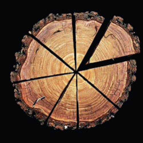 Afisha Club: Вишнёвый сад в Москве 22 мая 2026