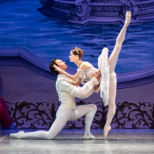 Afisha Club: Спящая красавица в Новгороде 19 мая 2026