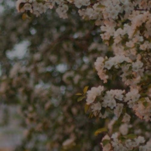 Afisha Club: Славный май в Новосибирске 2 мая 2026