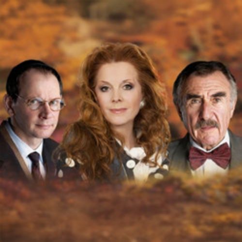 Afisha Club: Поздняя любовь в Сочи 21 мая 2026