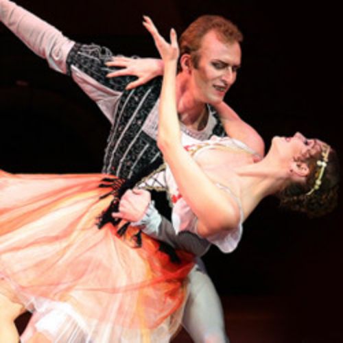 Afisha Club: Собор Парижской Богоматери в Сочи 16 мая 2026