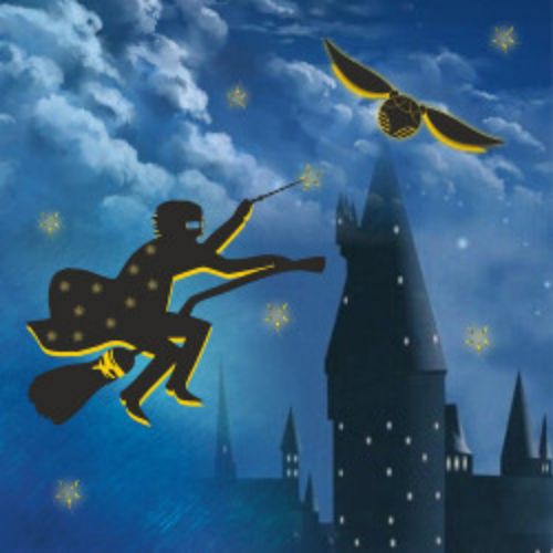 Afisha Club: Симфония Гарри Поттер в Перми 22 октября 2026